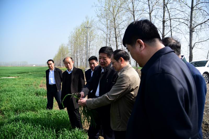 詹先豪王良贵在砀山夹沟两场调研